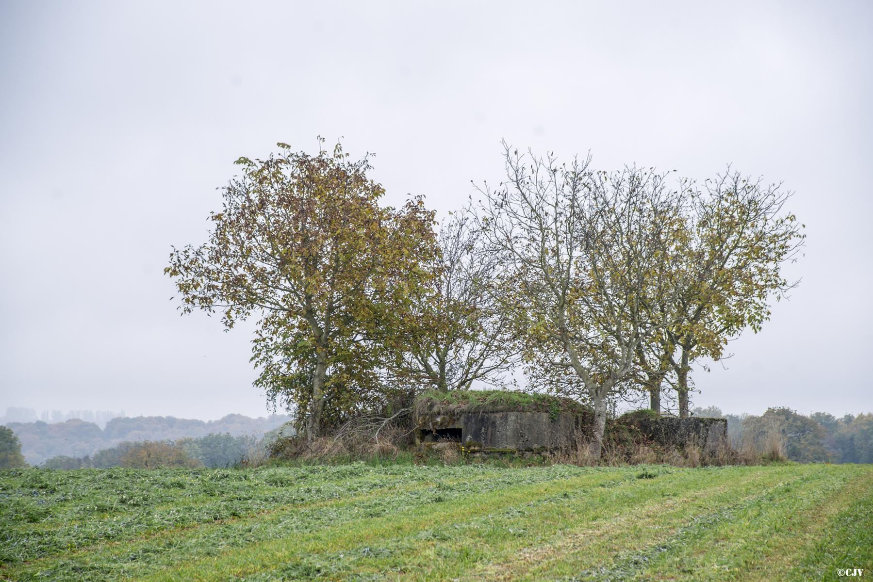 Ligne Maginot - TROIS-MAISONS SUD (OUVRAGE) - (Blockhaus pour canon) - 