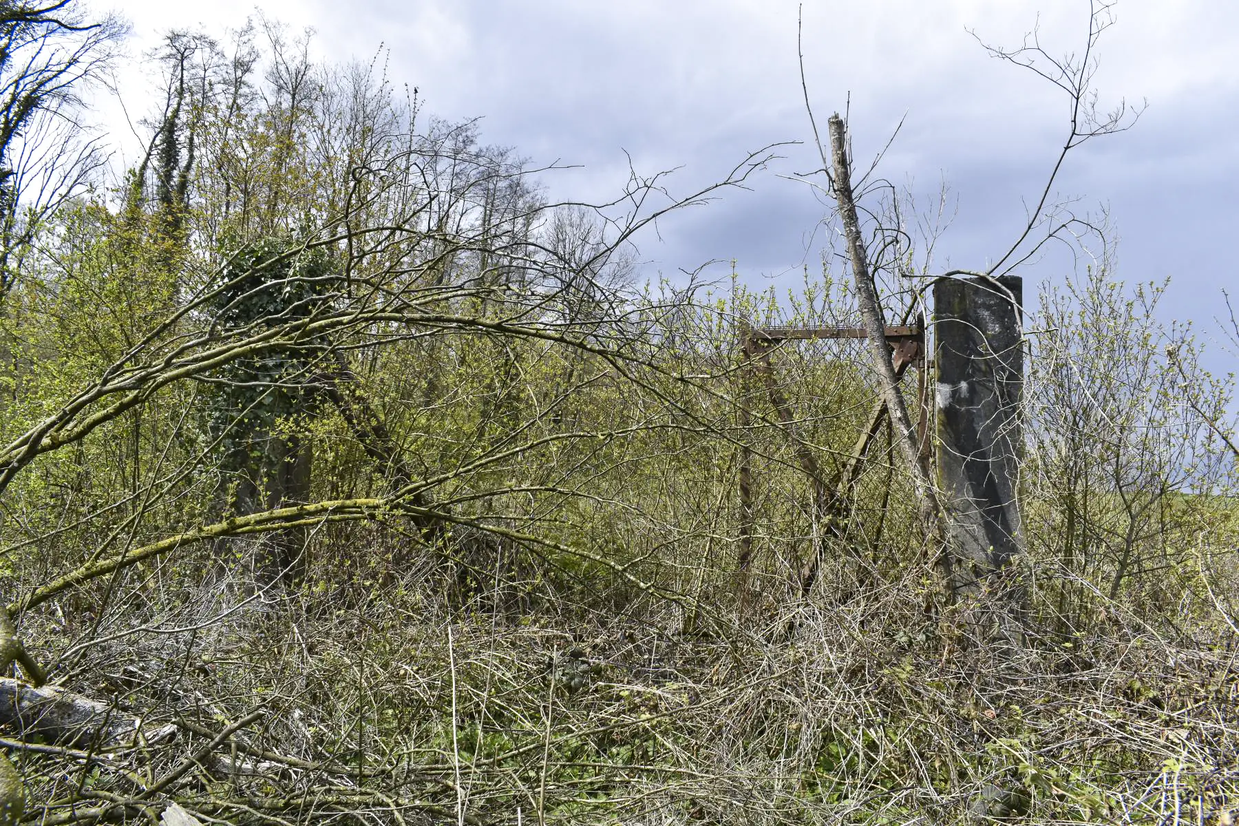 Ligne Maginot - WILLERHOF - (Dépôt de Munitions) - Portail d'entrée du dépôt 