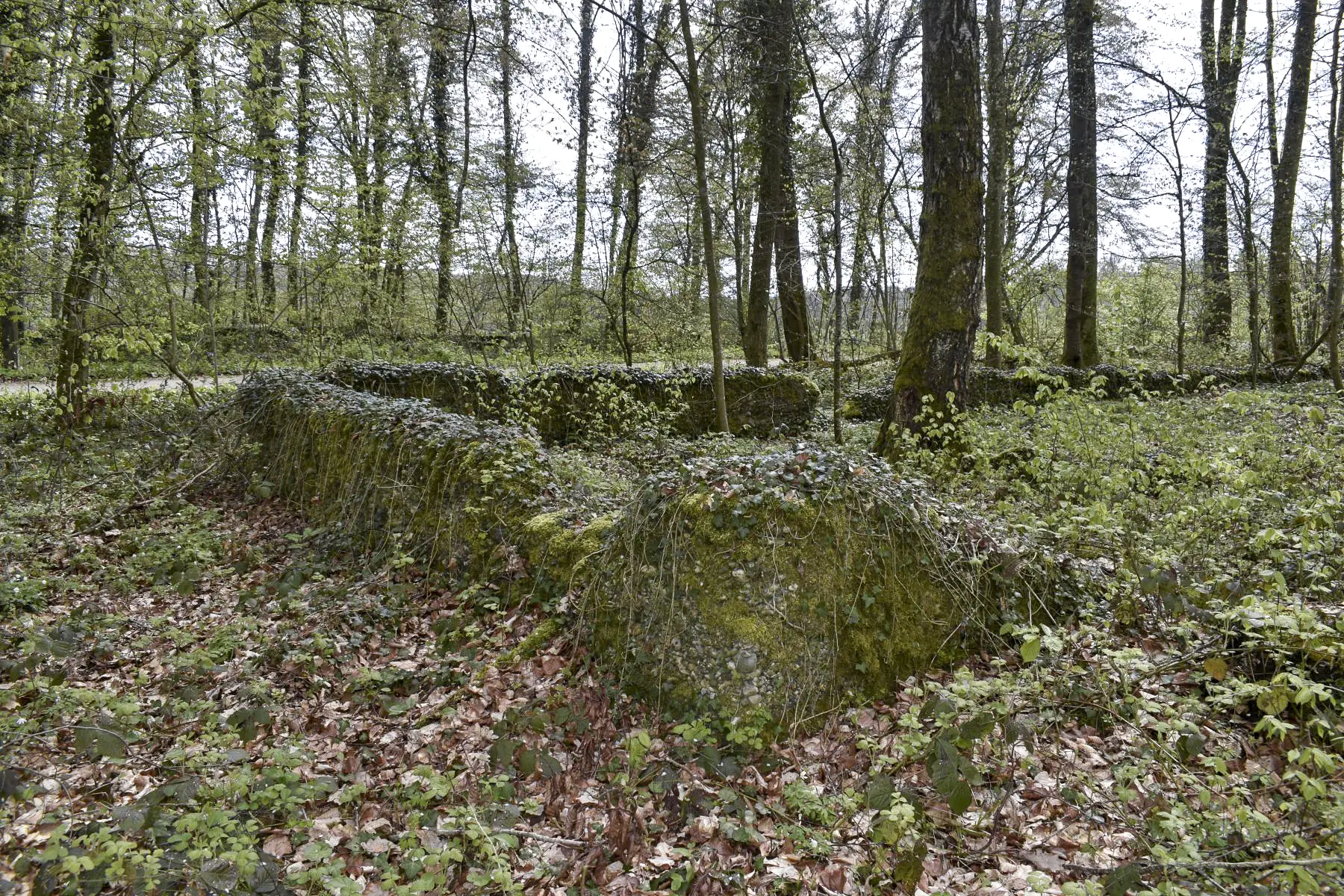 Ligne Maginot - WILLERHOF - (Dépôt de Munitions) - Emplacement de baraquement