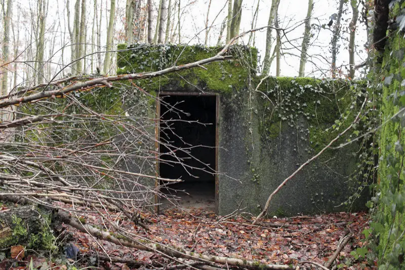 Ligne Maginot - WILLERHOF (BATTERIE DE) - (Position d'artillerie préparée) - Encuvement 1
Soute droite