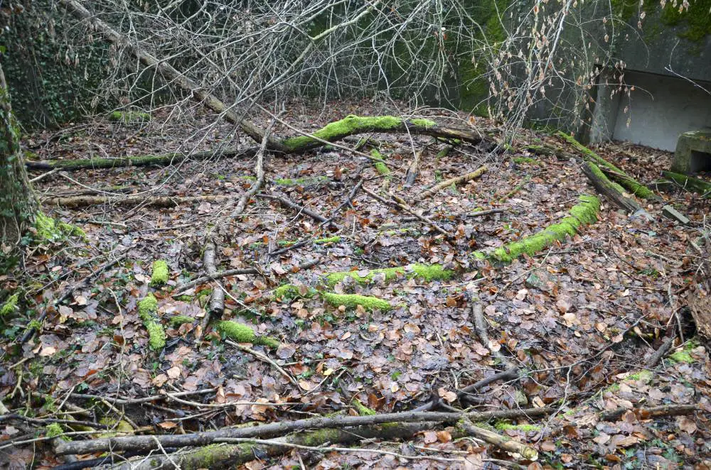 Ligne Maginot - WILLERHOF (BATTERIE DE) - (Position d'artillerie préparée) - Encuvement 1
Emplacement du canon