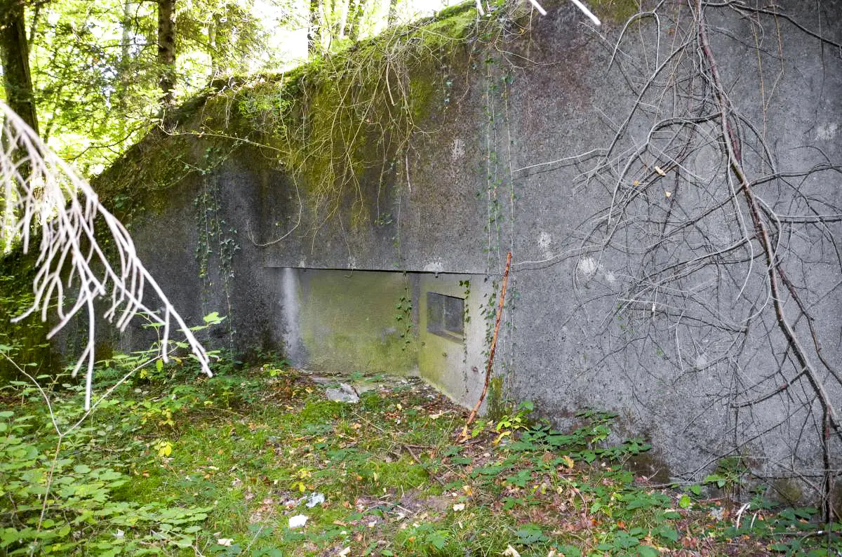 Ligne Maginot - 117 - BROCHRITTY SUD - (Casemate d'infanterie - Double) - Façade nord
Créneau mitrailleuse