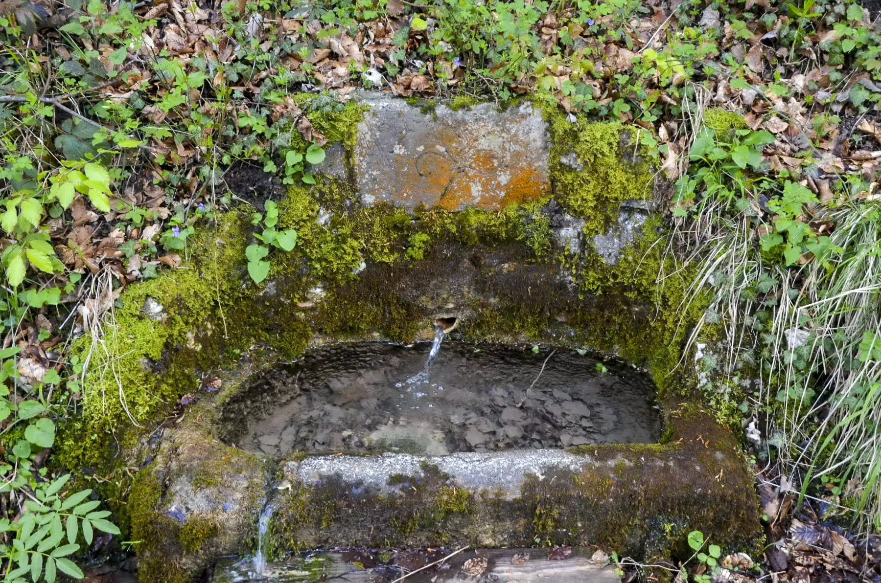 Ligne Maginot - 21 RI - Fontaine - (Divers) - Fontaine du 21 RI au départ de la route source 21°RI- Linderberg