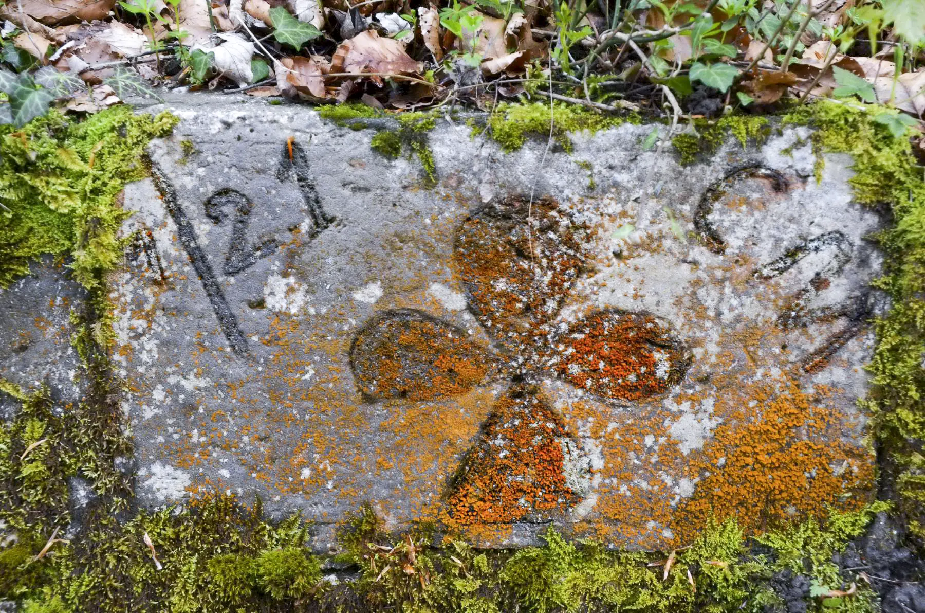 Ligne Maginot - 21 RI - Fontaine - (Divers) - Fontaine du 21 RI au départ de la route source 21°RI-Linderberg -Cartouche du 1/21 CM