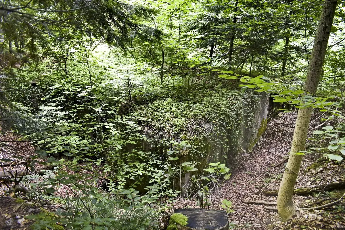 Ligne Maginot - GRAND KOHLBERG - (Abri) - Vue coté sud-ouest