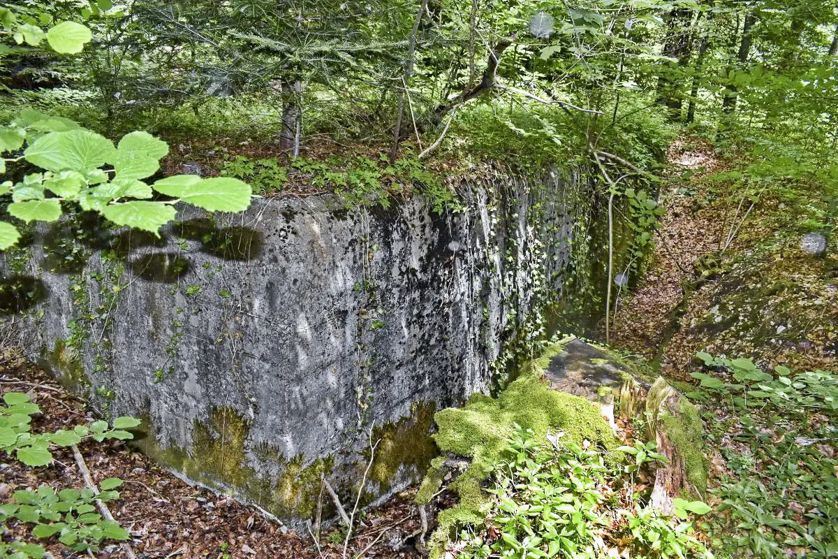 Ligne Maginot - GRAND KOHLBERG - (Abri) - Vue coté sud