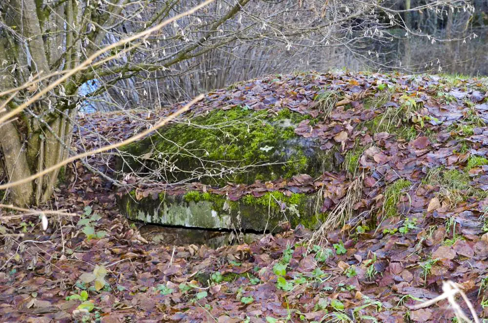 Ligne Maginot - OLTINGUE NORD 2 - (Blockhaus pour arme infanterie) - Vue extérieure de la coupole 7 ème RM