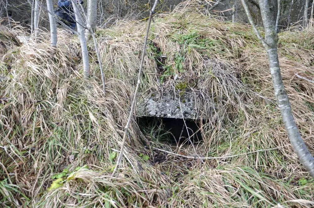 Ligne Maginot - OLTINGUE SUD 2 - (Blockhaus pour arme infanterie) - Créneau de tir de la coupole 7 RM