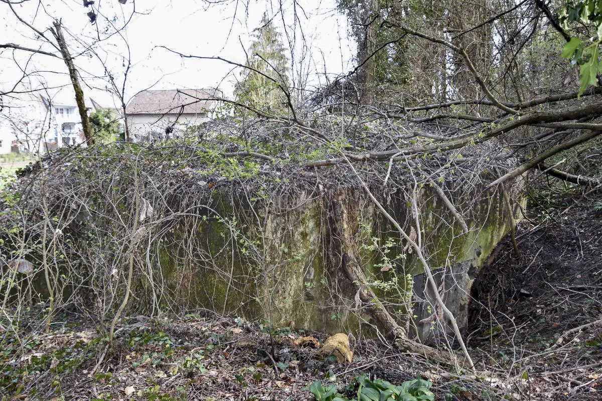 Ligne Maginot - B661 - BARTENHEIM NORD OUEST - (Blockhaus pour arme infanterie) - Entrée coté ouest au pied de la falaise