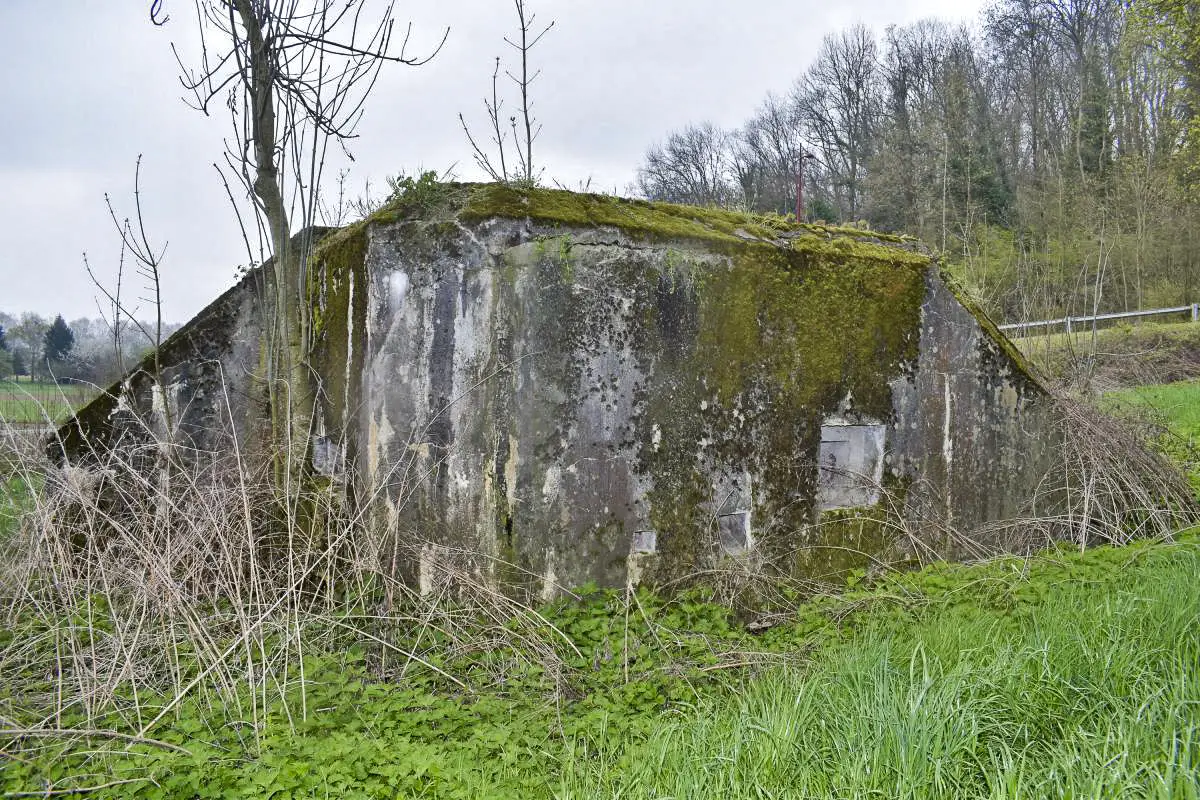 Ligne Maginot - B683 - KATZENTAL NORD - (Blockhaus pour arme infanterie) - Façade avec (de gauche à droite) une aération ?, la goulotte lance-grenades, le créneau de défense rapproché et sous les ronces : l'entrée