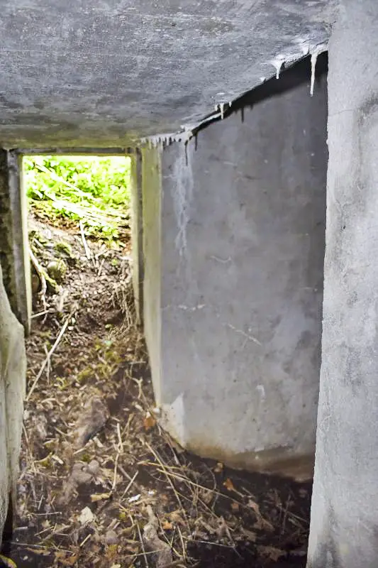 Ligne Maginot - B683 - KATZENTAL NORD - (Blockhaus pour arme infanterie) - Vue vers la porte : à droite la niche