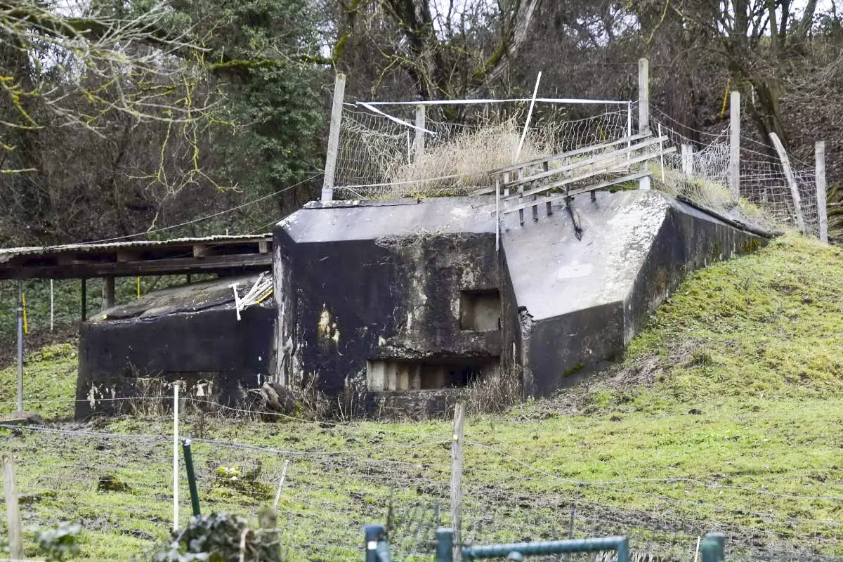 Ligne Maginot - B701 - HEGENHEIM 4 - (Blockhaus pour arme infanterie) - Vue sur le créneau de tir