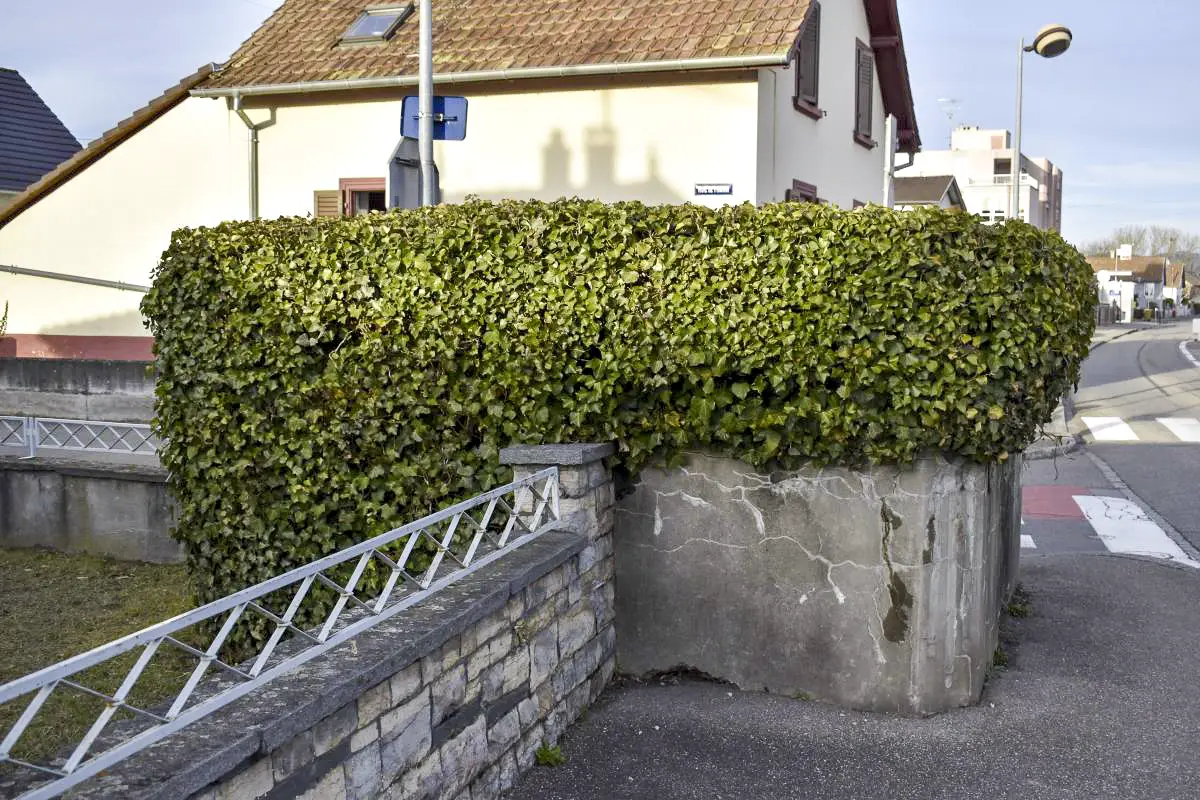 Ligne Maginot - EGLISE DE NEUWEG SUD - (Blockhaus pour arme infanterie) - 