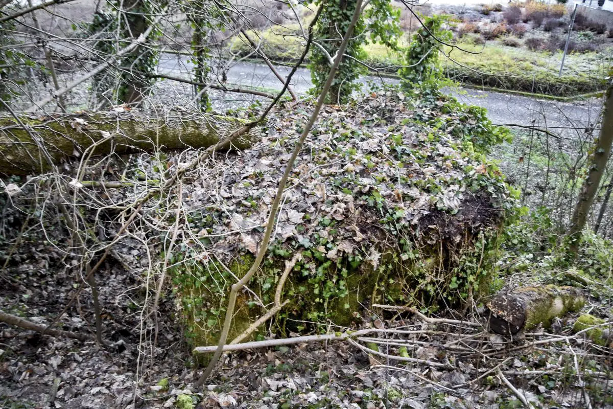 Ligne Maginot - ESCHENBACHGRABEN NORD - (Blockhaus pour arme infanterie) - Vue sur le dessus
Camouflage qui ferait envie au service du Génie.