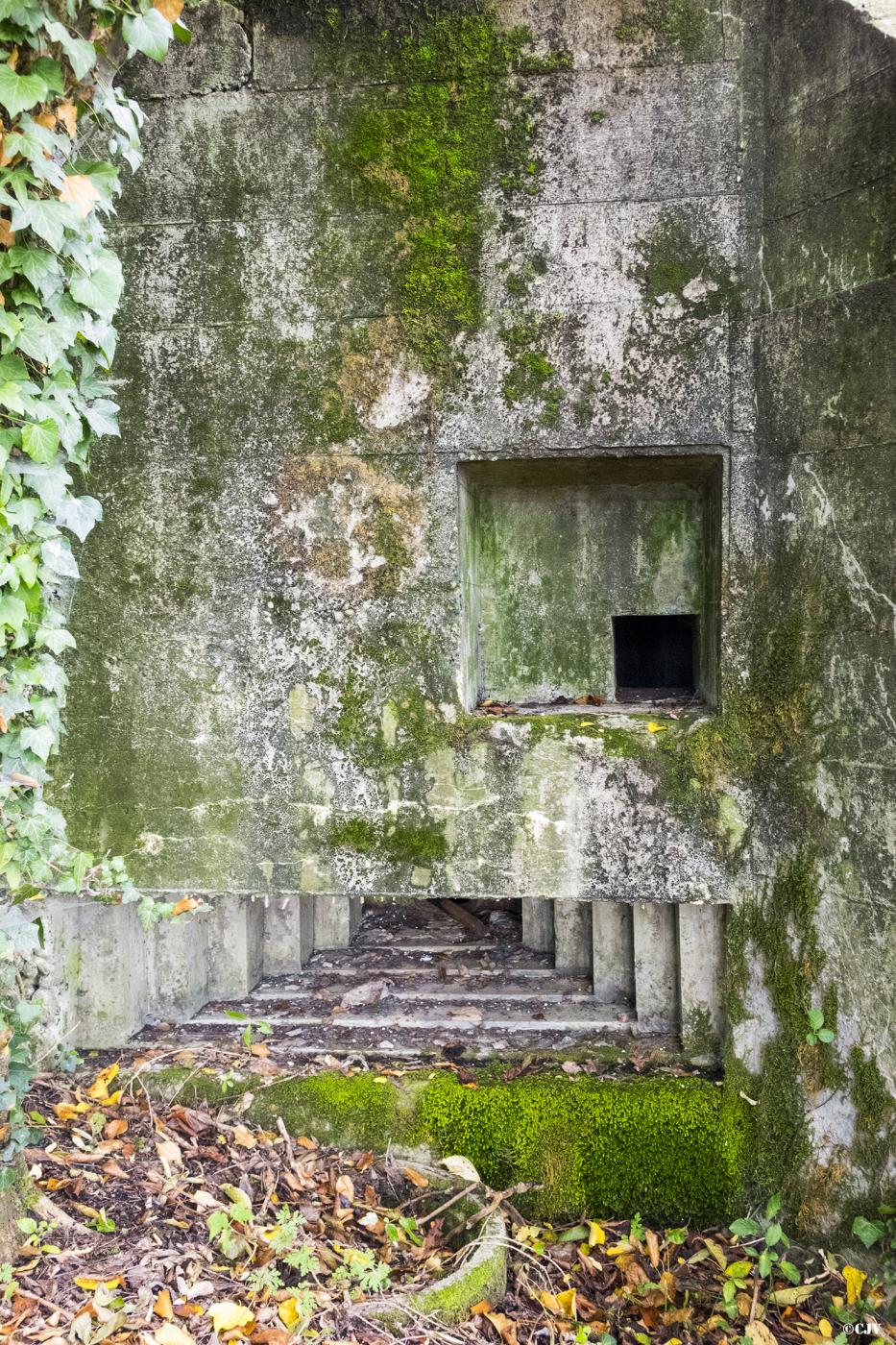 Ligne Maginot - ESCHENBACHGRABEN SUD - (Blockhaus pour arme infanterie) - 