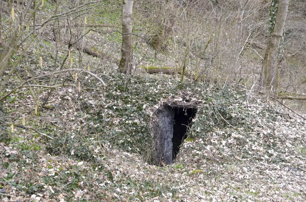 Ligne Maginot - KEMBS LOECHLE 4 - (Abri) - Vue sur l'entrée