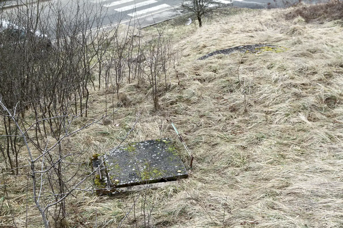 Ligne Maginot - ALLENJOIE 2 - (Blockhaus pour arme infanterie) - Au premier plan l'accès