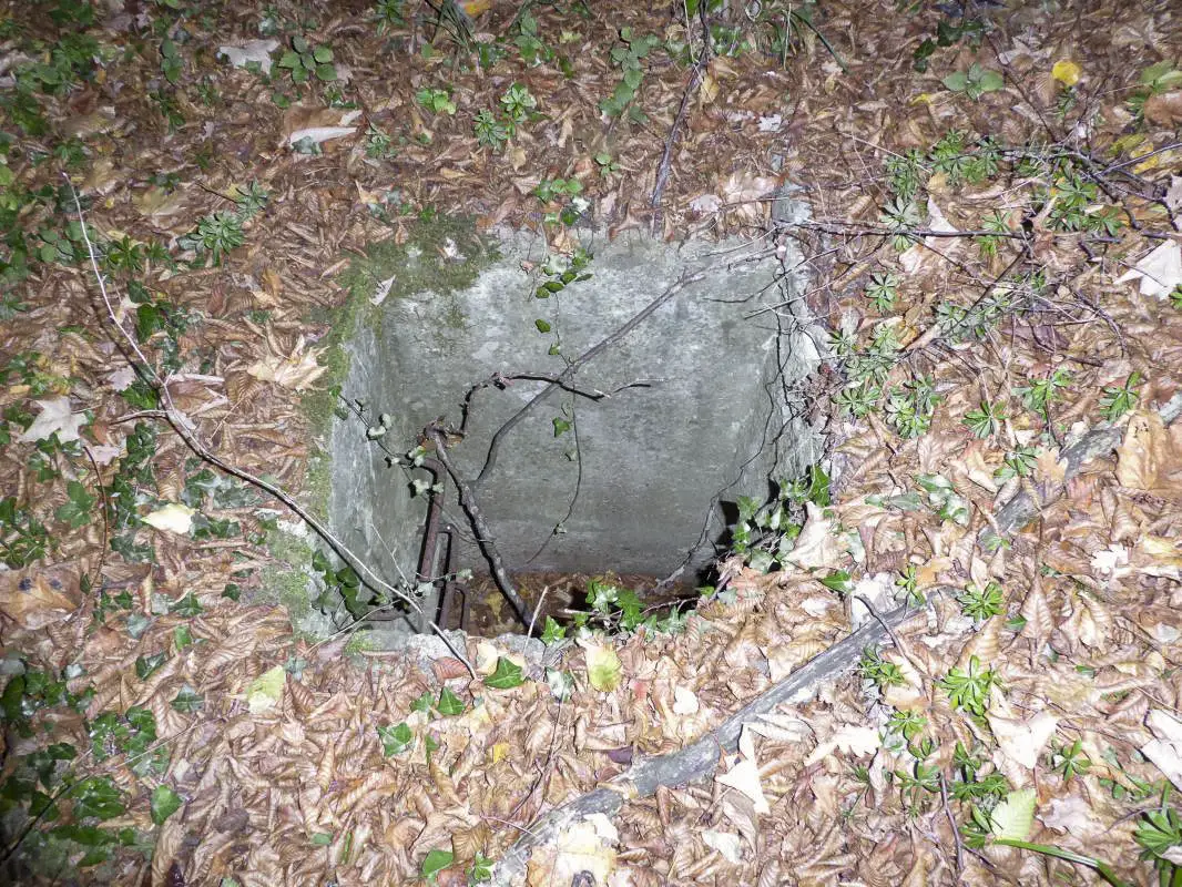 Ligne Maginot - B13-B - LES FROMENTAUX EST - (Blockhaus pour arme infanterie) - Puits d'accès