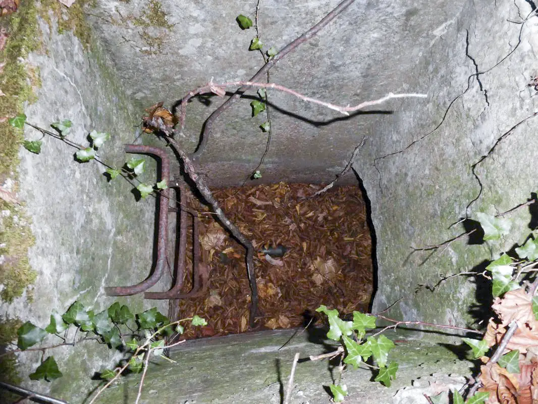 Ligne Maginot - B13-B - LES FROMENTAUX EST - (Blockhaus pour arme infanterie) - Puits d'accès