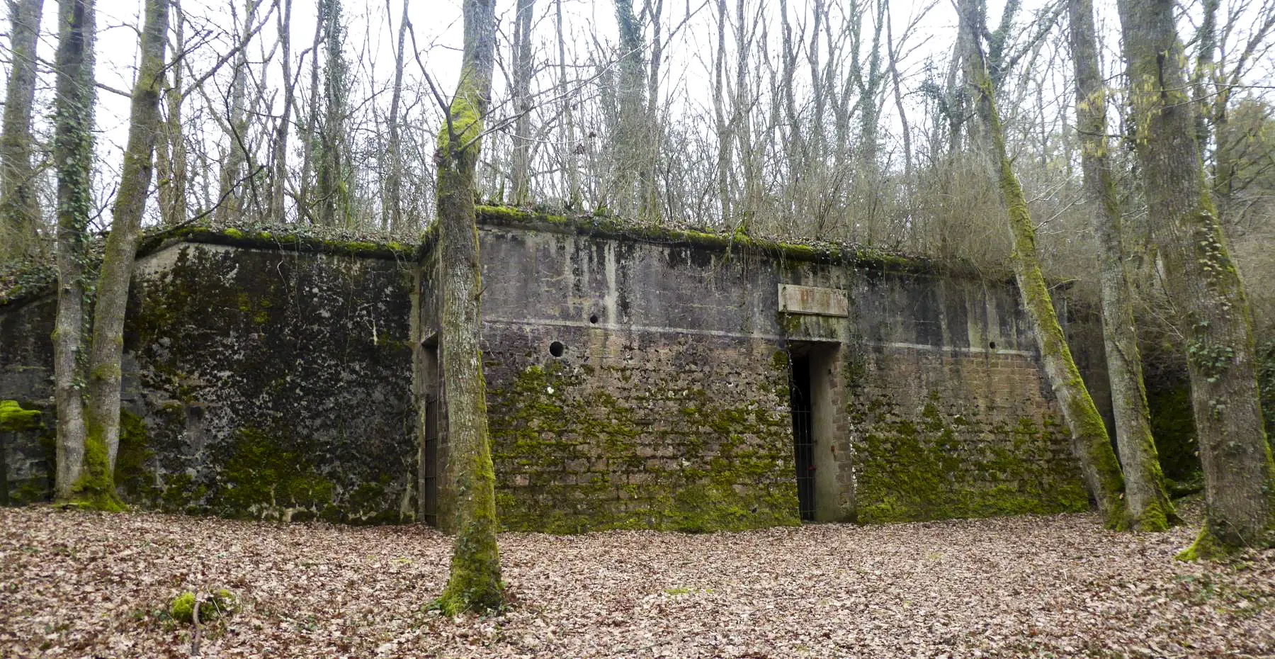 Ligne Maginot - RAGEE AU BAILLY - (Abri) - 