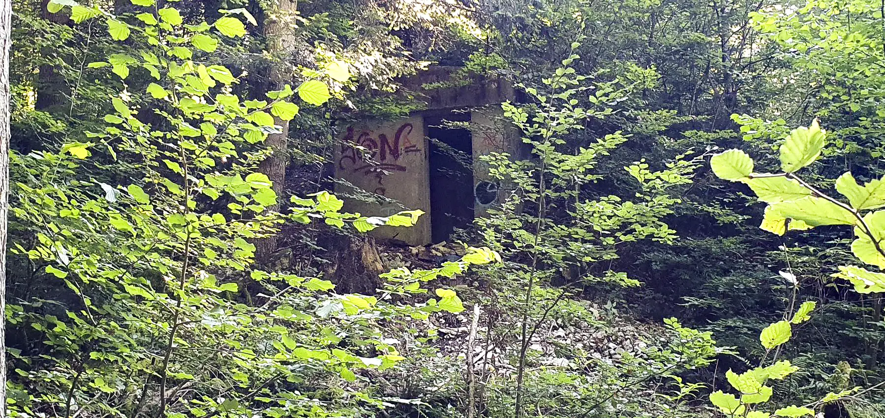 Ligne Maginot - COMBE BILLAUD - (Chambre de coupure) - Vue extérieure