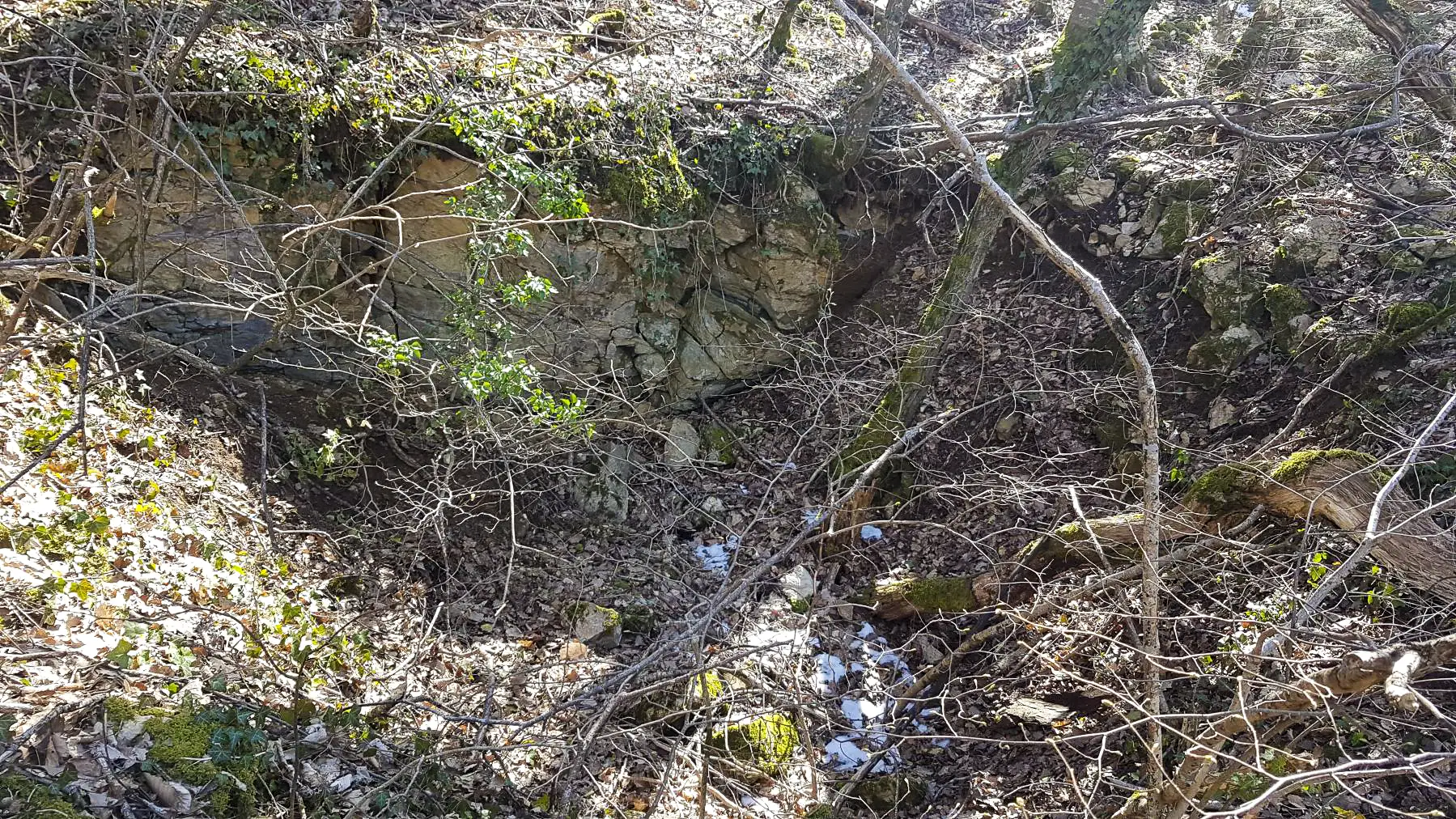 Ligne Maginot - 221 - CRET MOUREX - (Blockhaus pour arme infanterie) - Probable emplacement creusé.