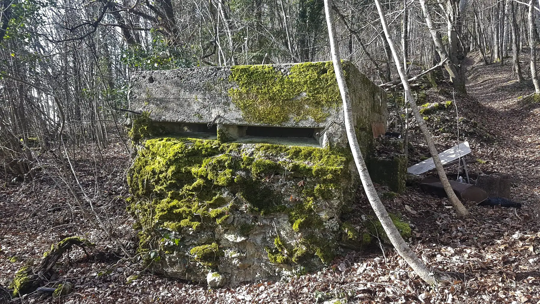 Ligne Maginot - SENTIER DE TATATI - (Observatoire d'artillerie) - Observatoire 