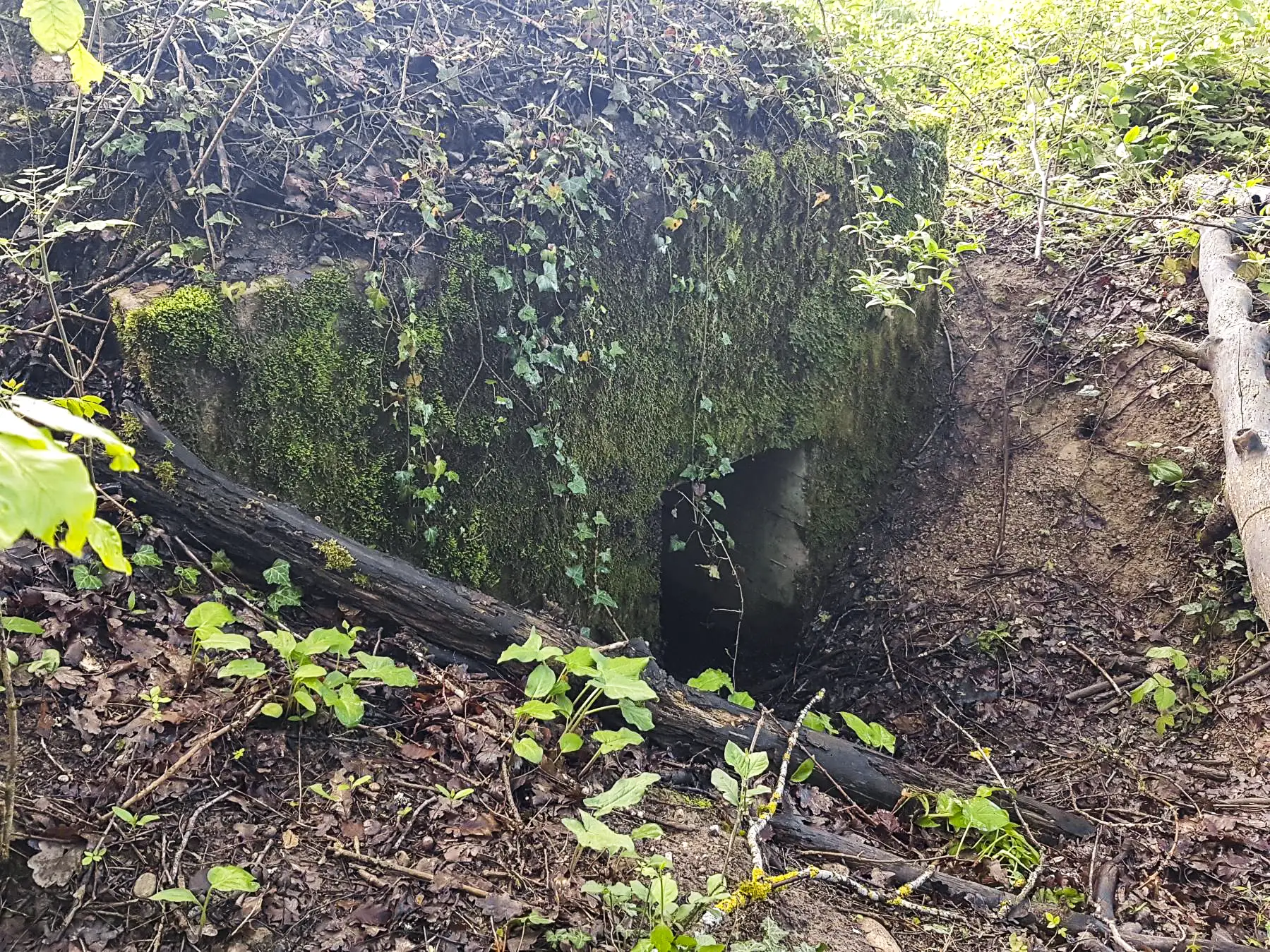 Ligne Maginot - F1 - LES CHARMETTES - HS101 - (Blockhaus pour arme infanterie) - L'entrée.