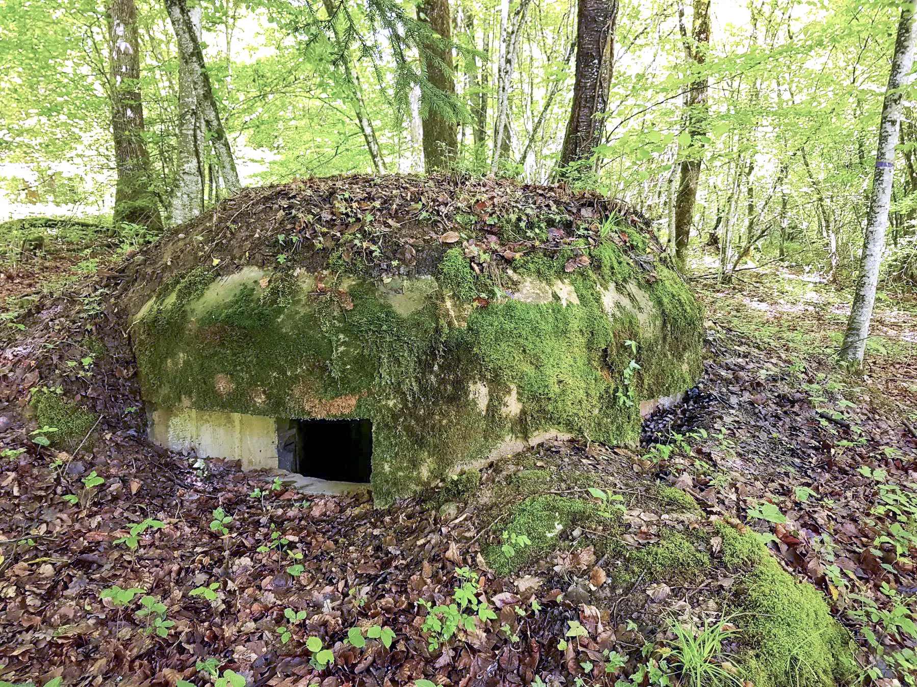 Ligne Maginot - F55 - LES TAVERNETTES 4 - HS110 - (Blockhaus pour arme infanterie) - L'une des créneaux