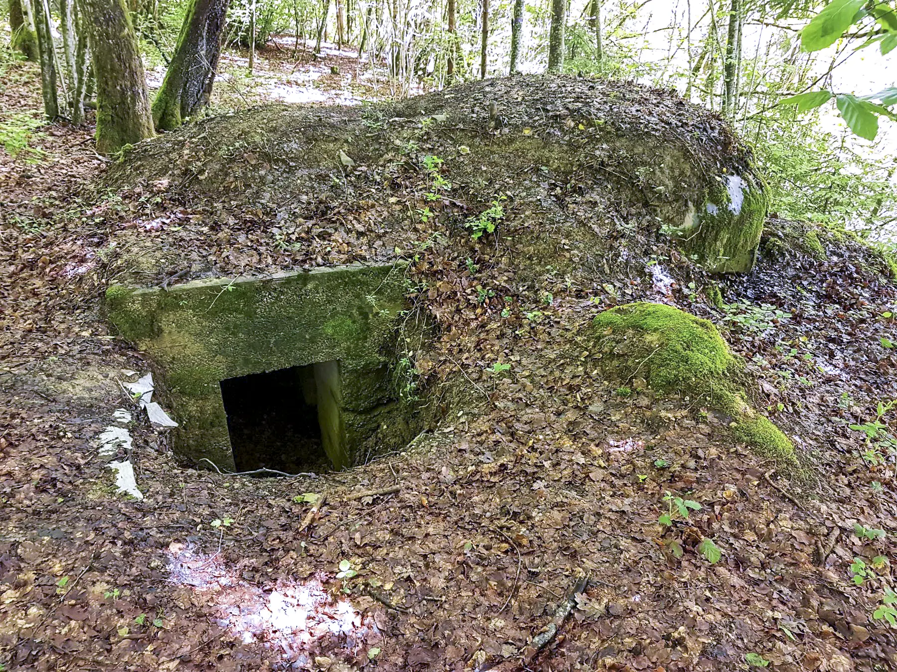 Ligne Maginot - F55 - LES TAVERNETTES 4 - HS110 - (Blockhaus pour arme infanterie) - L'entrée