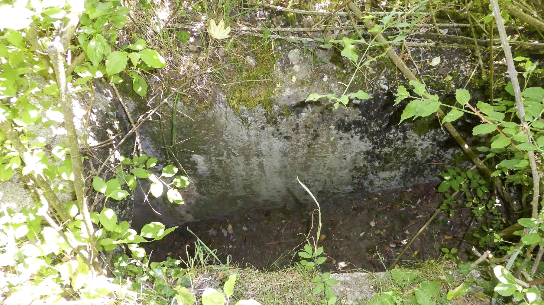 Ligne Maginot - F55BIS - LES TAVERNETTES 5 - HS111 - (Blockhaus pour arme infanterie) - Tranchée d'accès