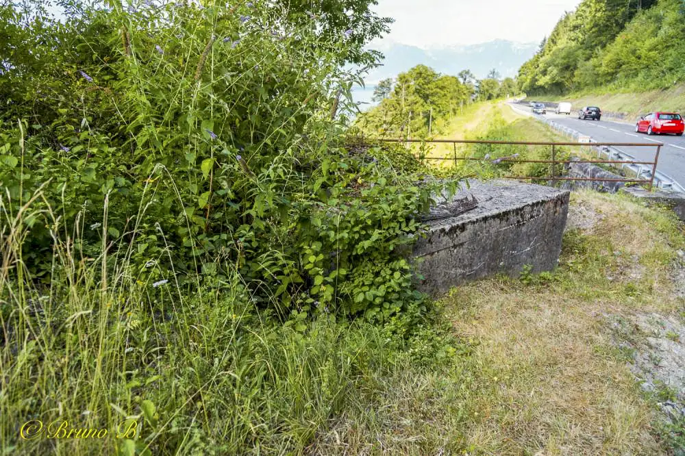 Ligne Maginot - M2 - LA TRONCHE- HS135 - (Blockhaus pour arme infanterie) - Lentrée à l'arrière du blockhaus