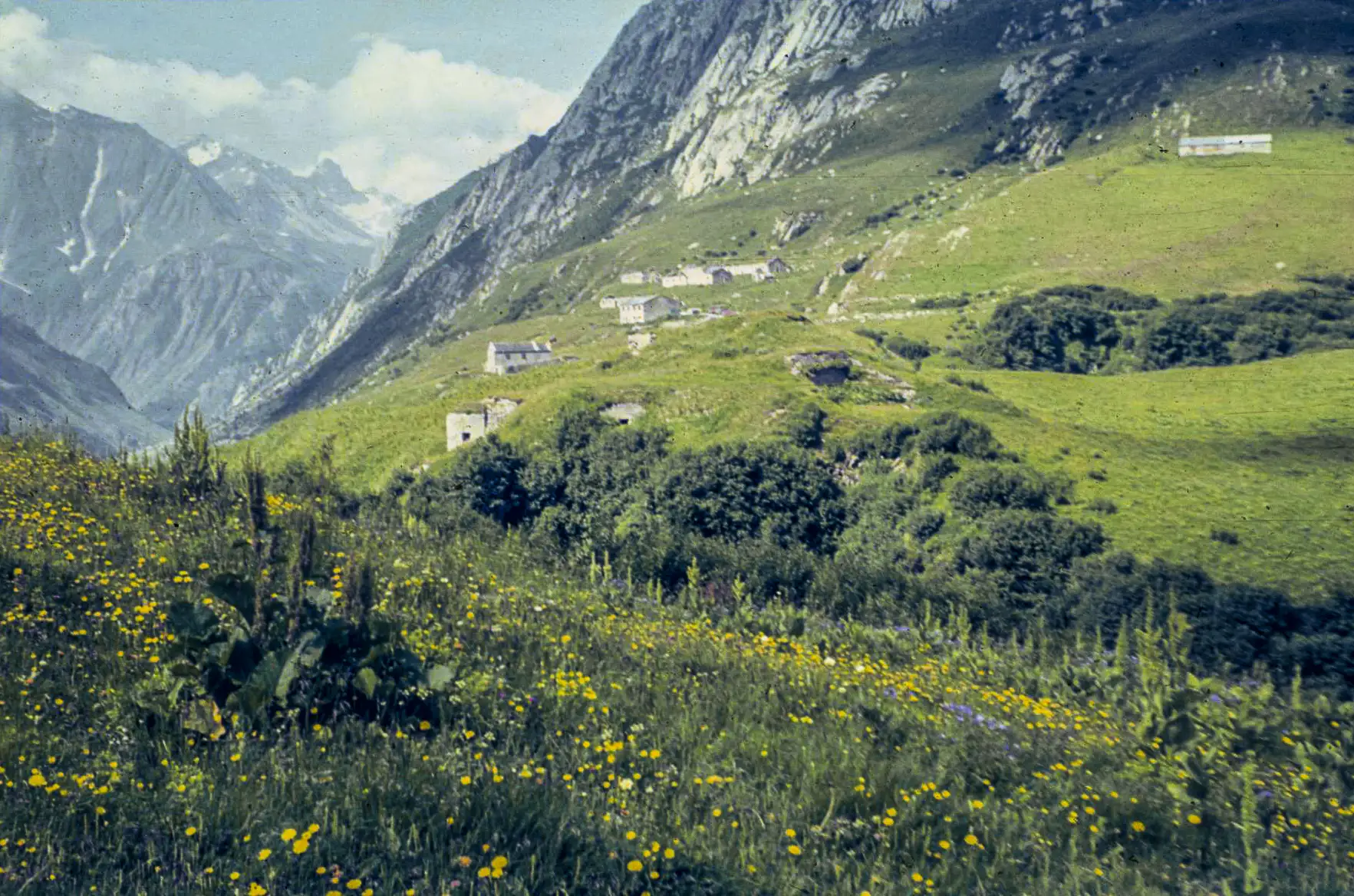 Ligne Maginot - SELOGES - (Casernement) - À l'arrière-plan le casernement, au premier plan l'avant poste de Seloges