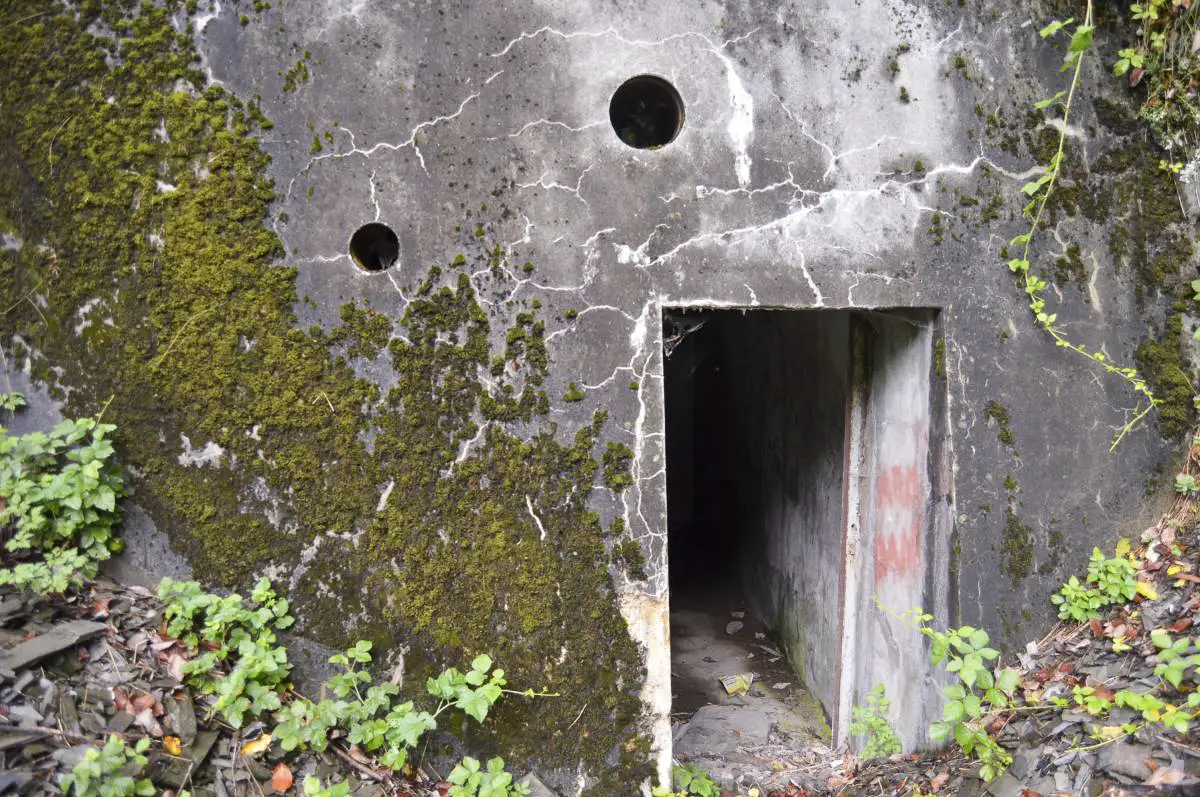 Ligne Maginot - ARBONNE - (Central téléphonique isolé) - 