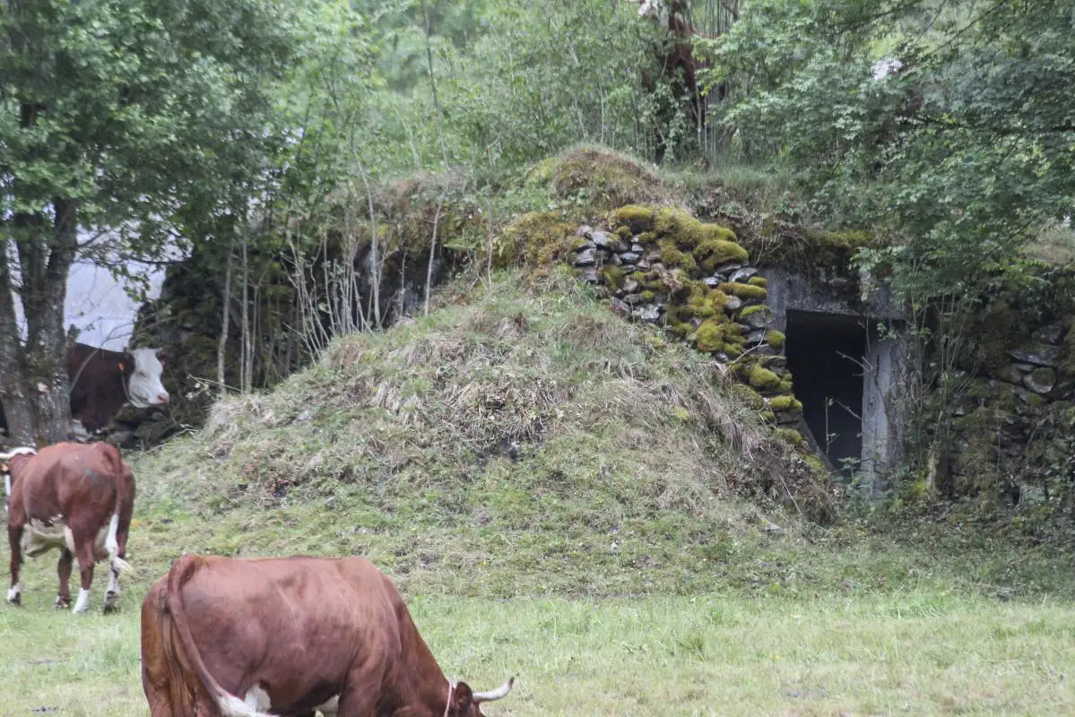 Ligne Maginot - BILLORDS CENTRE - (Blockhaus pour canon) - 