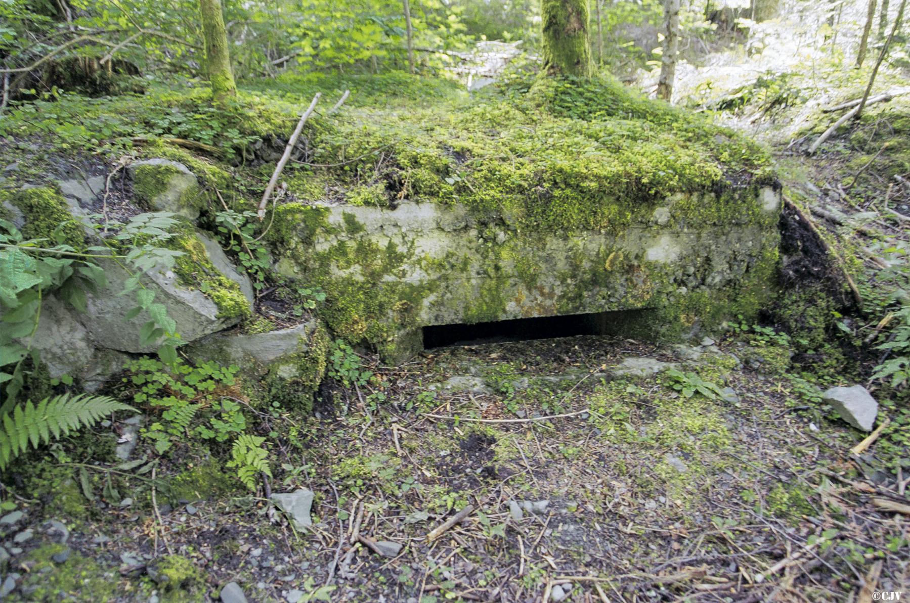 Ligne Maginot - Blockhaus de Longefoy - 