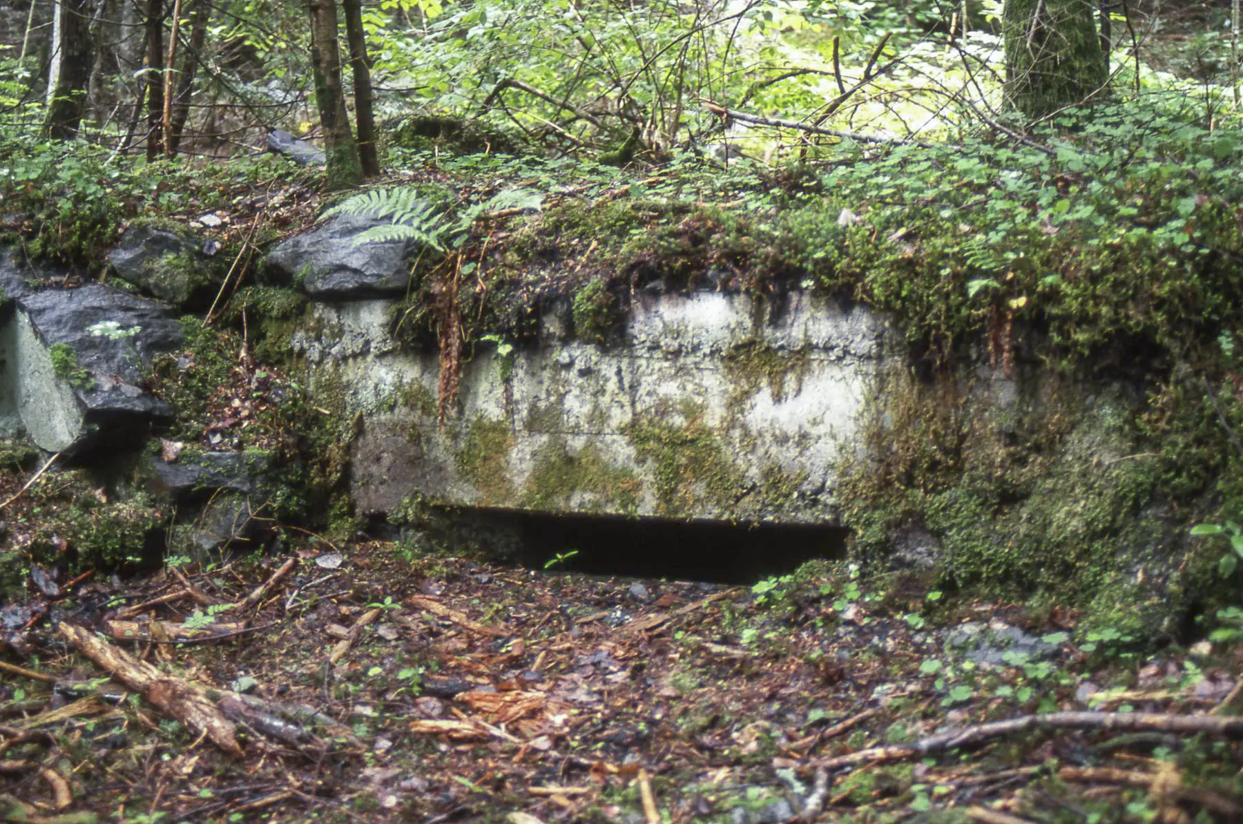 Ligne Maginot - LONGEFOY - (Blockhaus pour arme infanterie) - 