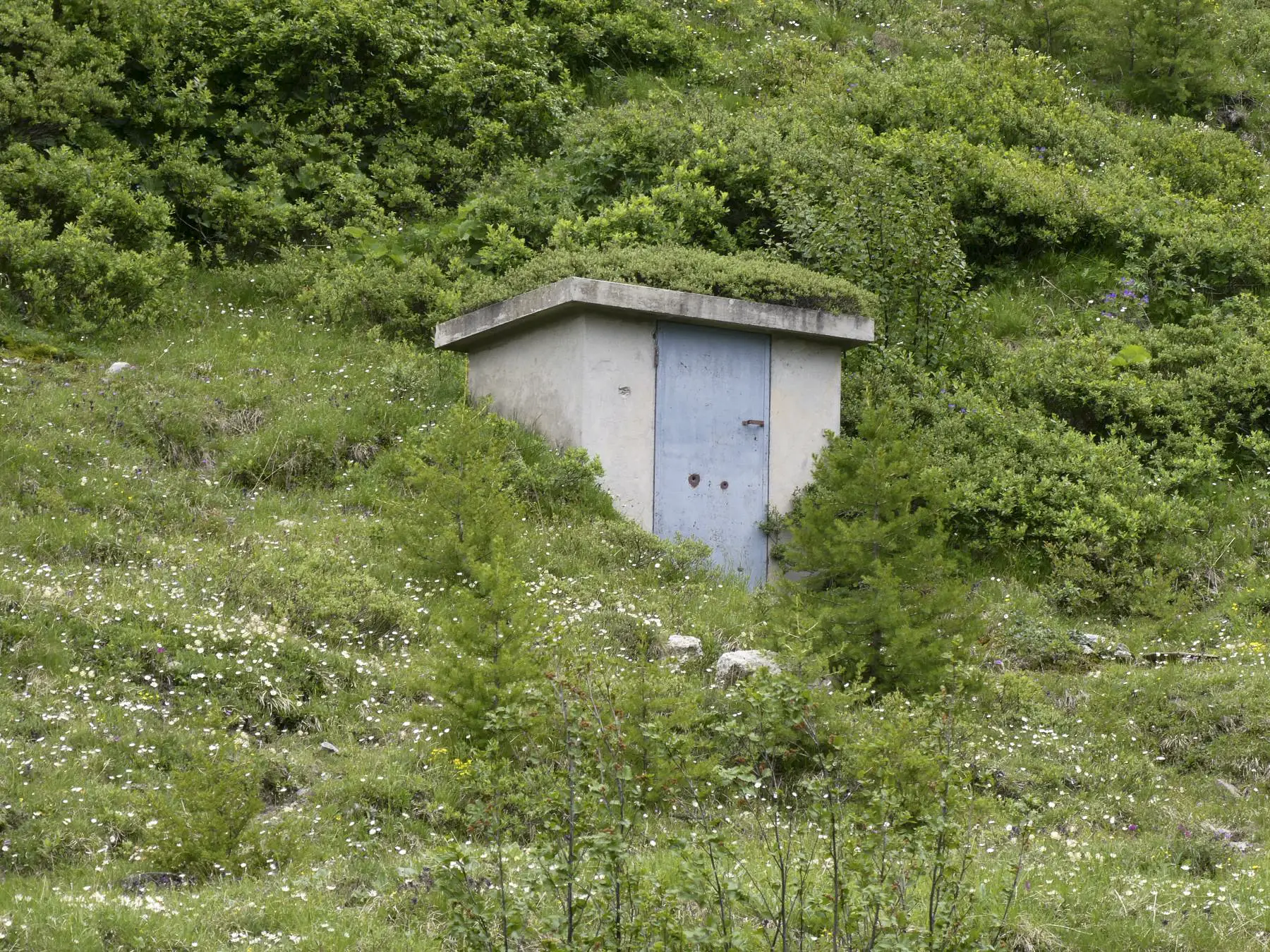 Ligne Maginot - 5 - PONT LAPOUGE - (Chambre de coupure) - 
