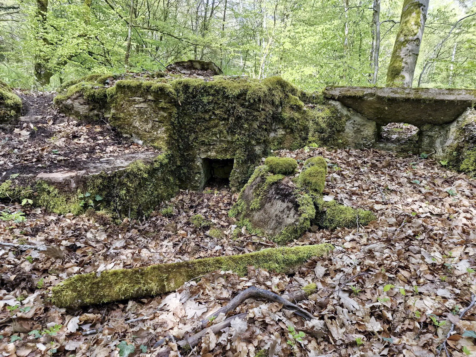 Ligne Maginot - WITZWALD 1 - (Cuve pour arme d'infanterie) - Double poste d'observation