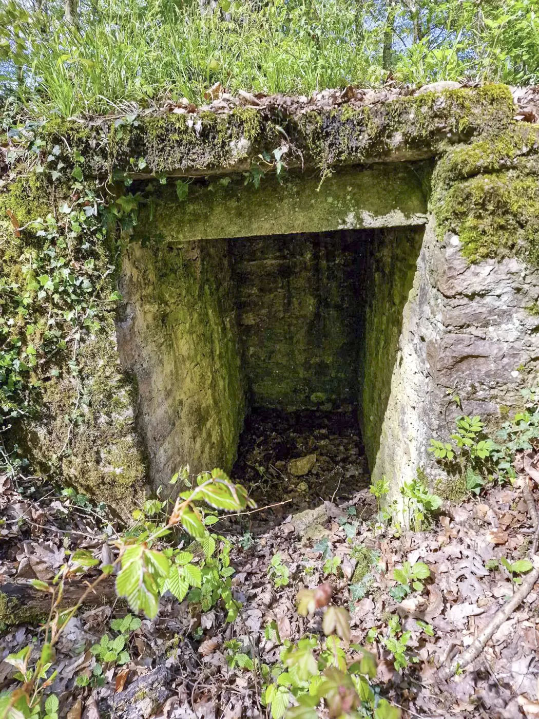 Ligne Maginot - WITZWALD 1 - (Cuve pour arme d'infanterie) - Grande niche à munitions située dans la tranchée