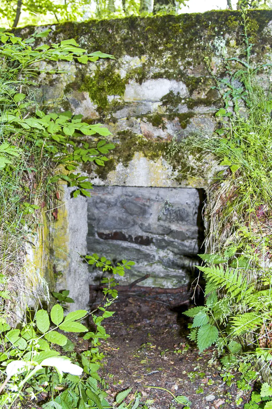 Ligne Maginot - AMODON 1 - (Blockhaus pour arme infanterie) - L'entrée 