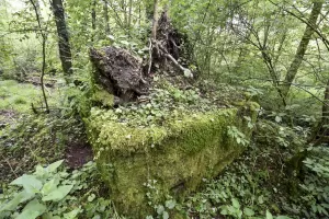 Ligne Maginot - HEIDENBERG 1 - (Blockhaus pour arme infanterie) - 