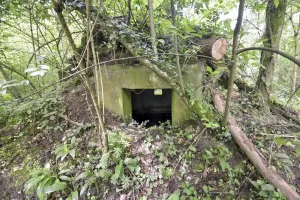 Ligne Maginot - HEIDENBERG 1 - (Blockhaus pour arme infanterie) - 