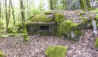 Ligne Maginot - FORT DE ROPPE SUD-EST 2 - (Blockhaus pour arme infanterie) - 