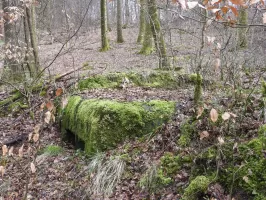 Ligne Maginot - KUHBRUCK OUEST - (Blockhaus pour canon) - La façade de tir.