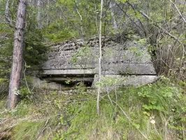 Ligne Maginot - PONT DU NANT - (Blockhaus pour arme infanterie) - 