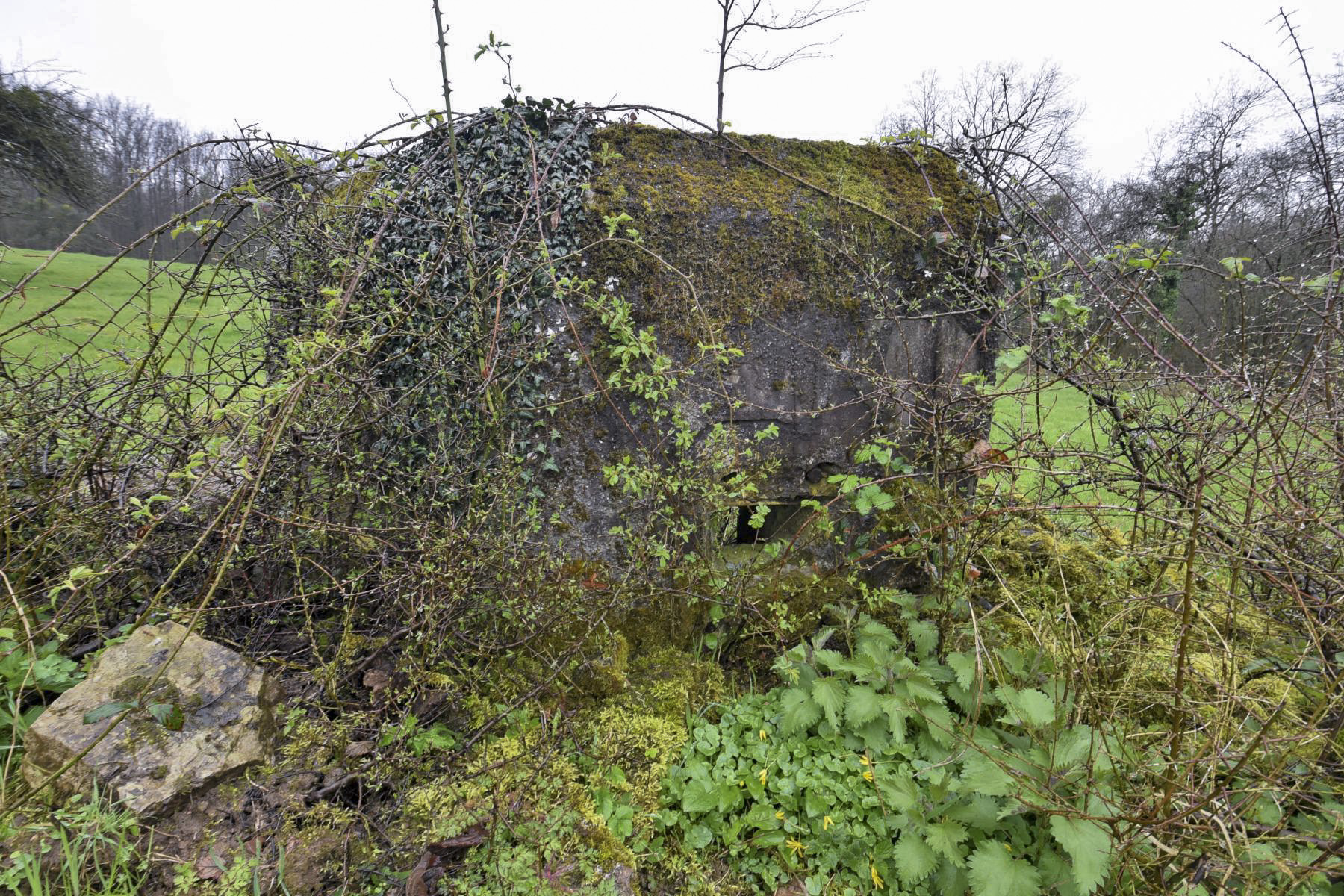 Ligne Maginot - FM11 - HELIENBRUCK 2 - (Blockhaus pour arme infanterie) - 