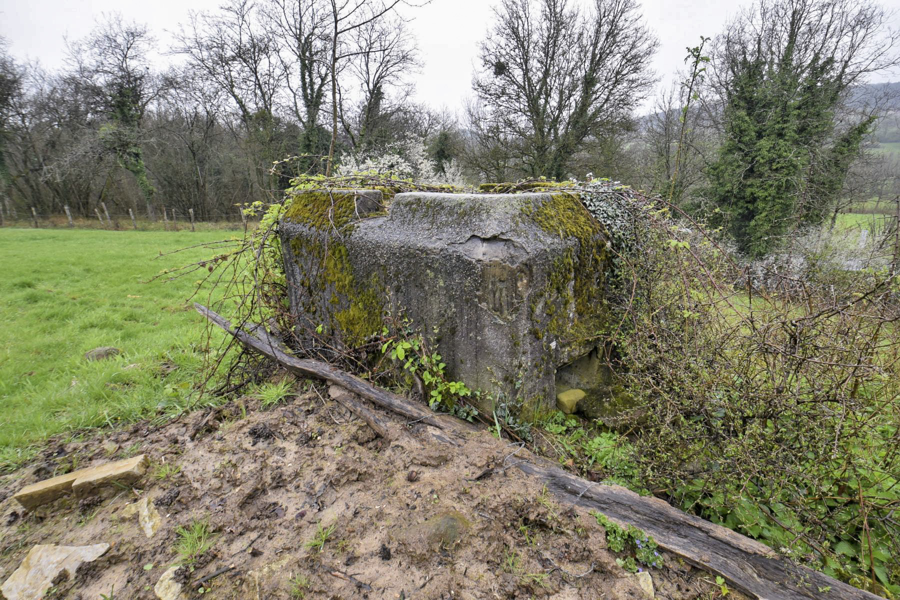 Ligne Maginot - FM11 - HELIENBRUCK 2 - (Blockhaus pour arme infanterie) - 