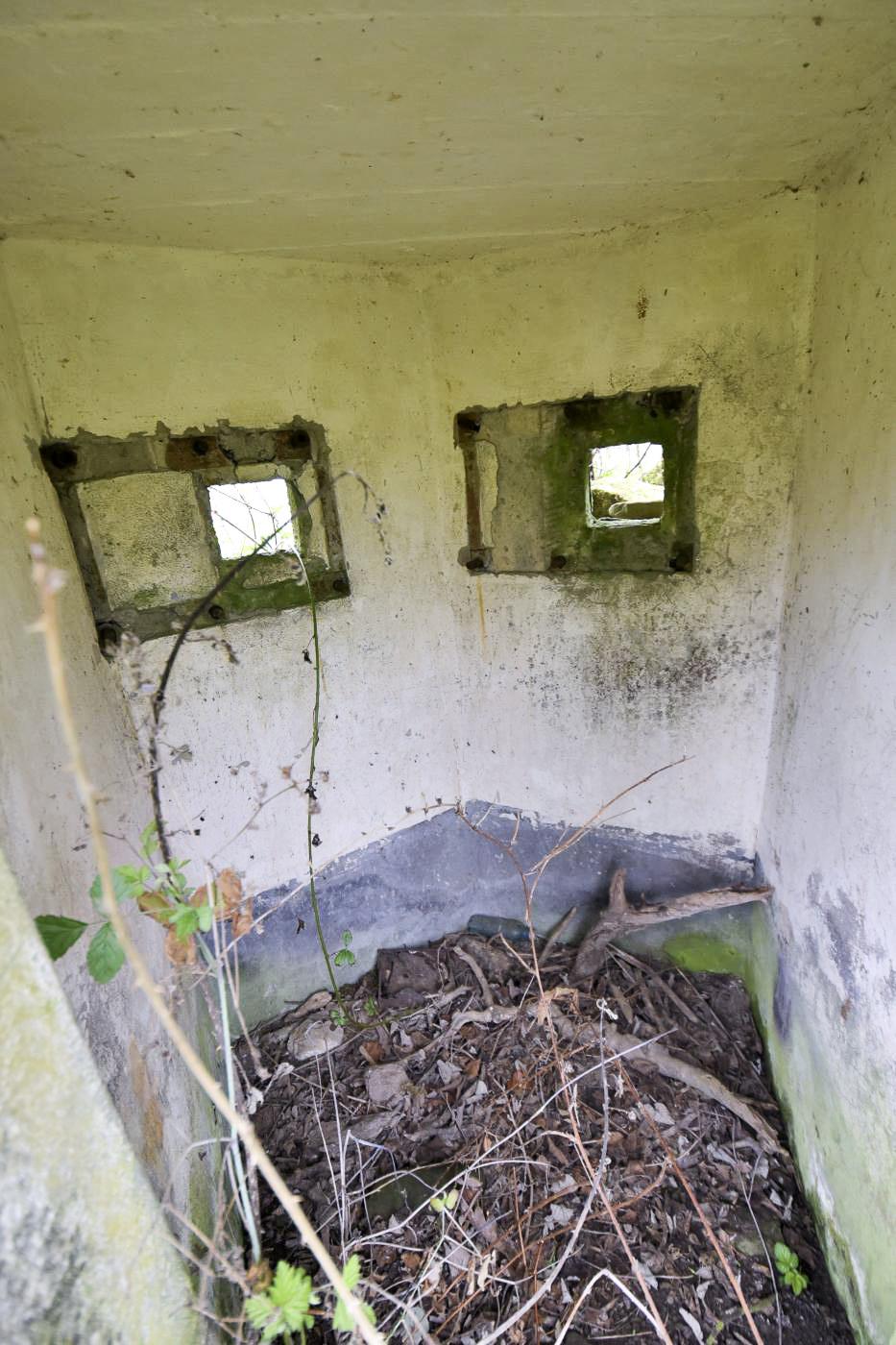 Ligne Maginot - FM11 - HELIENBRUCK 2 - (Blockhaus pour arme infanterie) - 