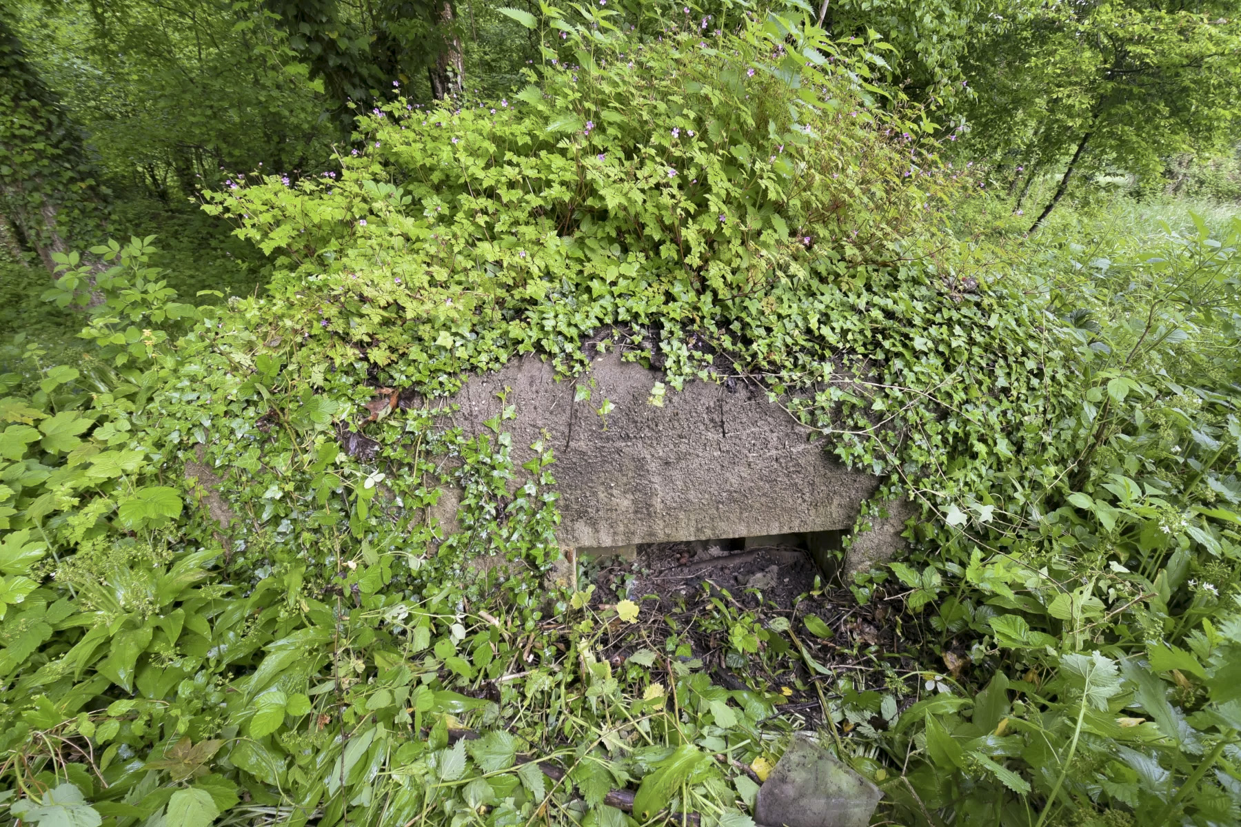 Ligne Maginot - FELDELE SUD - (Blockhaus pour arme infanterie) - 